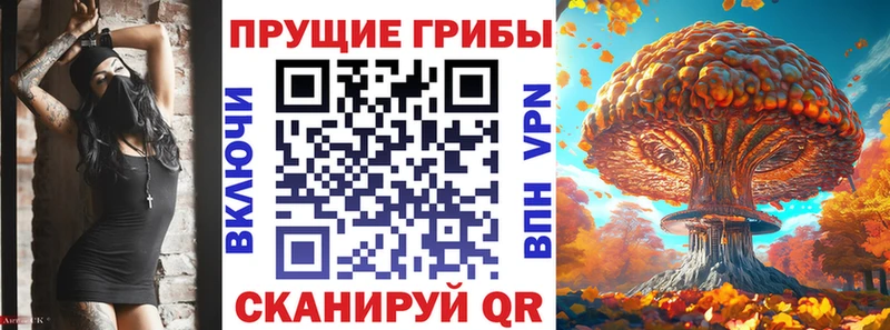 Галлюциногенные грибы прущие грибы  ОМГ ОМГ сайт  Нальчик 