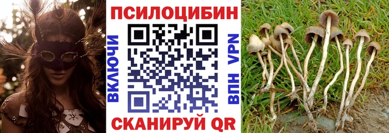 Псилоцибиновые грибы GOLDEN TEACHER Нальчик